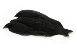 4 B's Hen Cape