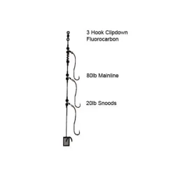 3 Hook Clipdown Fluorocarbon Rig