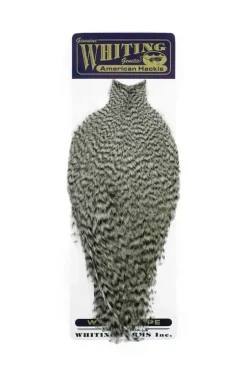 American Rooster Cape