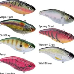 Aruku Shad