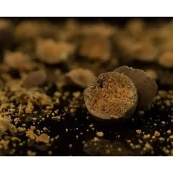 Bloodworm Boilies
