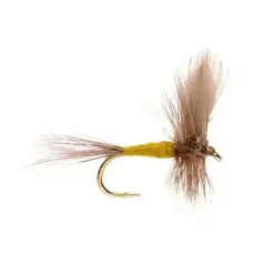 Blue Winged Olive