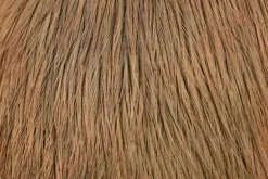 Coq de Leon Rooster Cape
