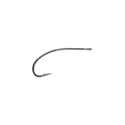 CS54BN - Saltwater Shrimp