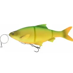 3D Line Thru Roach