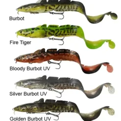 3D Shallow Burbot