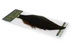 Hebert Hen Cape Black