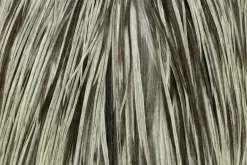Hebert Pro Grade Cape Unique Variant