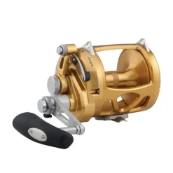 International VISW Gold