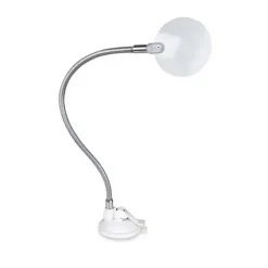 Magnifying Glass With Suction Cup Base