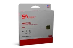 Mastery SBT
