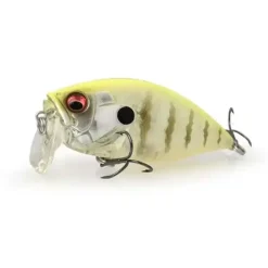 ORC Burning Shad LBO