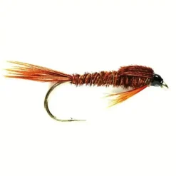 Pheasant Tail Nymph