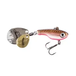 Pulse Spintail
