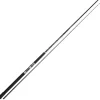 Salty Beast Salmon Inline Rod - 2,70 m - 30 lbs
