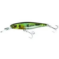 Squirrel 61 SP