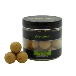 Sweet Maggot & Cream Pop - ups - 15 mm