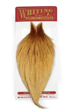 Whiting Rooster Cape